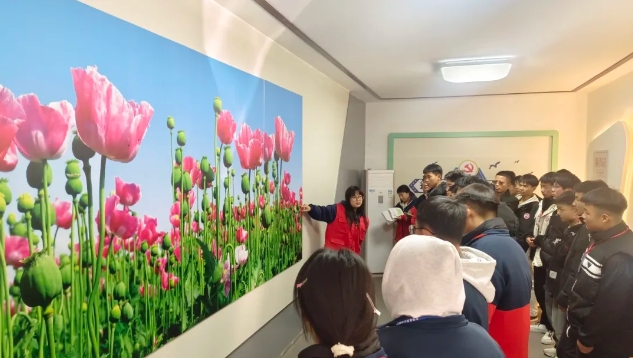 微信截图_20241122091745.jpg